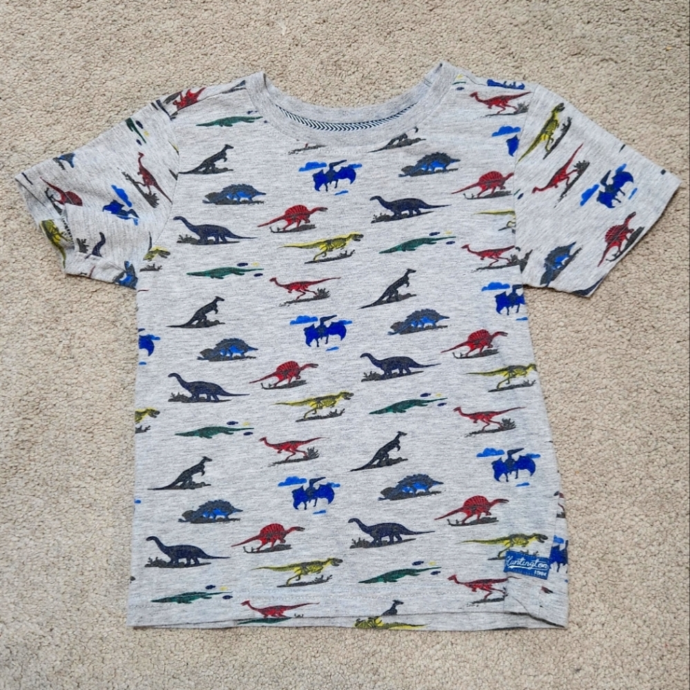 Little boys dinosaur shirt